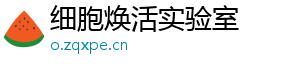 细胞焕活实验室